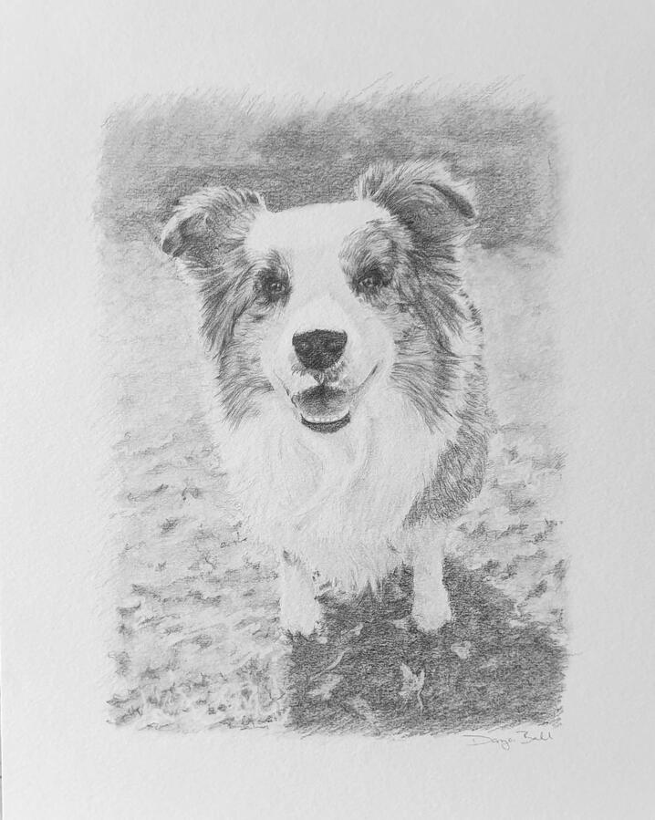 Pooch Portrait Fine art, graphite drawing of a precious puppy portrait.