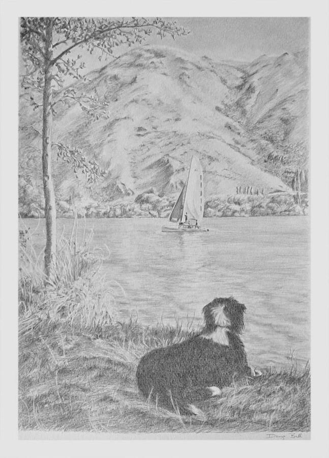 Family Adventure Drawing of a dog watching friends and family sailing on their New Zealand Summer camping adventure.