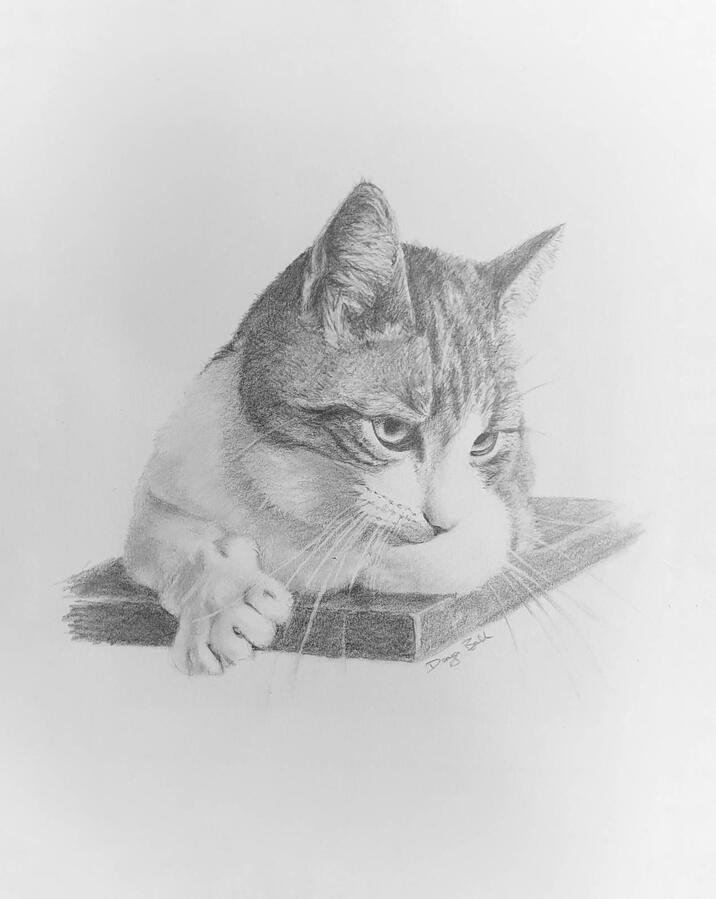 Pet Cat Portrait Fine art drawing, in Graphite, of pet cat portrait.